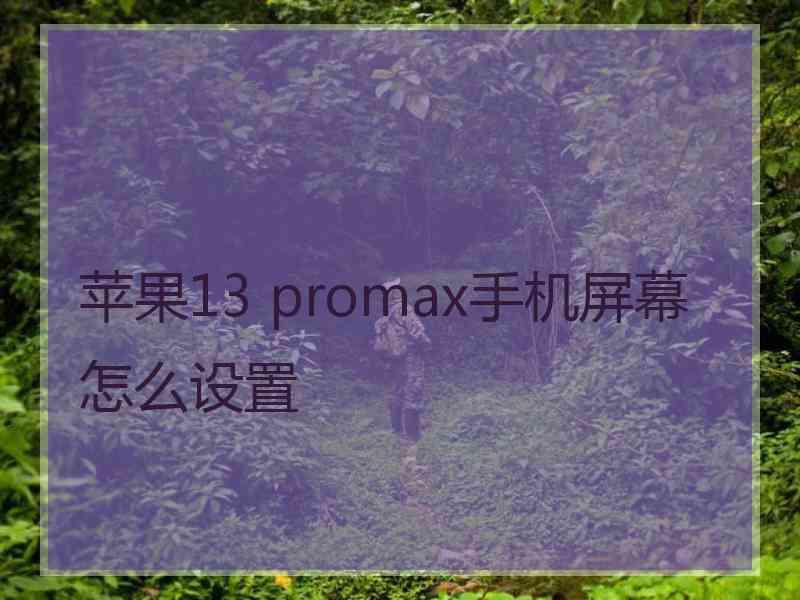 苹果13 promax手机屏幕怎么设置