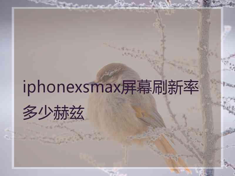 iphonexsmax屏幕刷新率多少赫兹