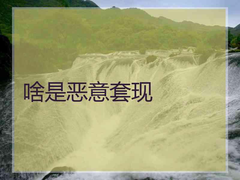 啥是恶意套现