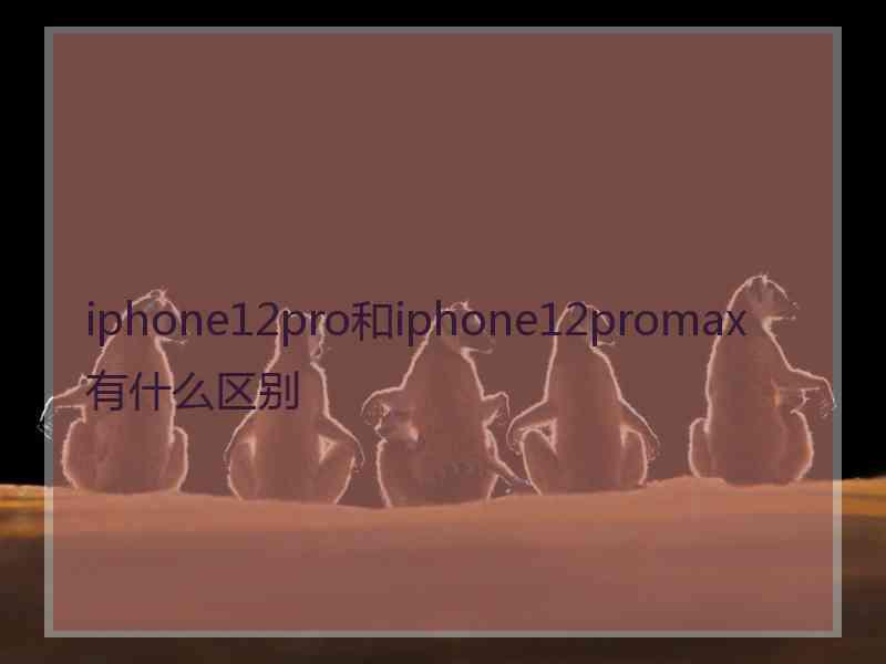 iphone12pro和iphone12promax有什么区别