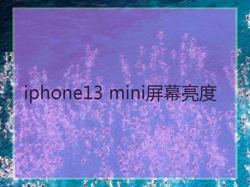 iphone13 mini屏幕亮度