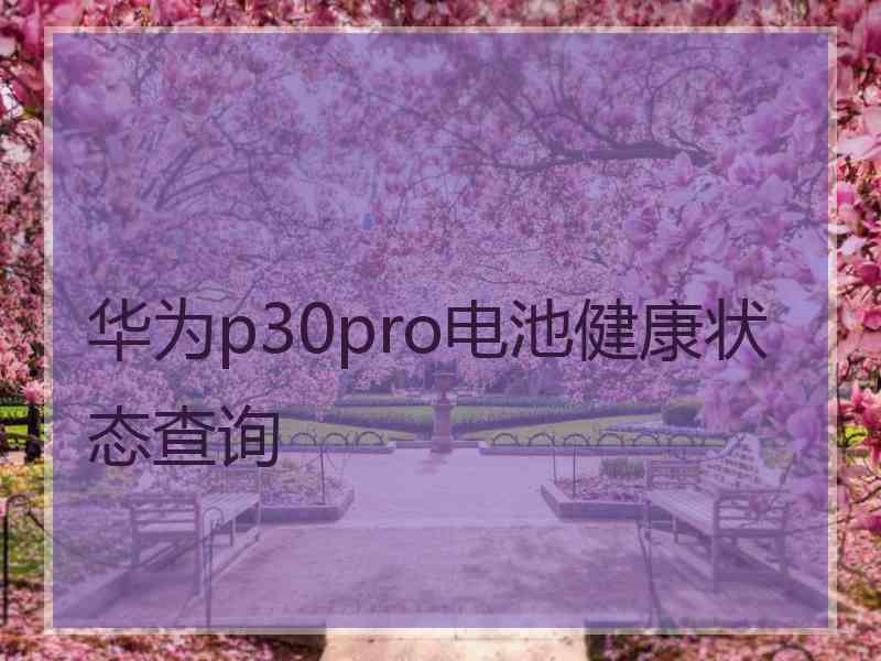 华为p30pro电池健康状态查询