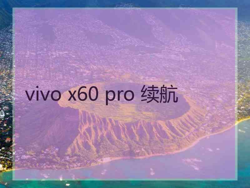 vivo x60 pro 续航