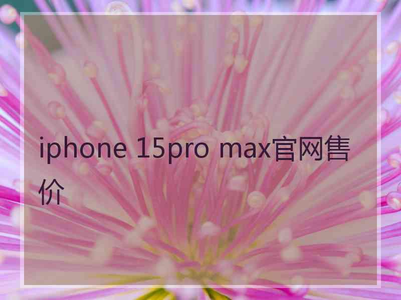 iphone 15pro max官网售价