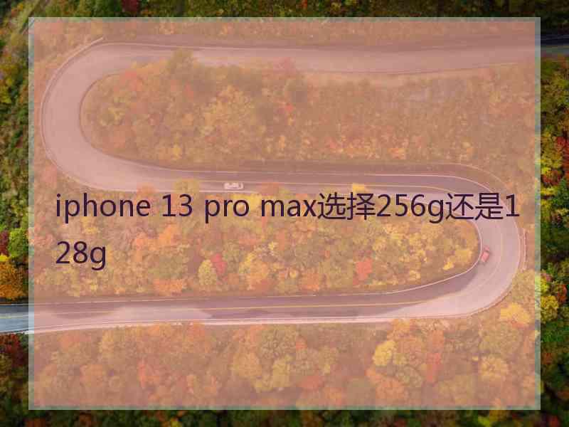 iphone 13 pro max选择256g还是128g