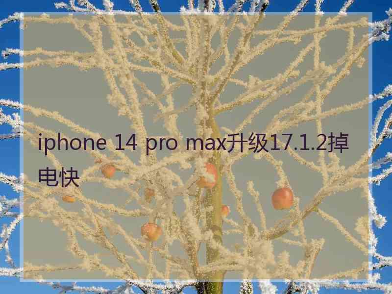 iphone 14 pro max升级17.1.2掉电快