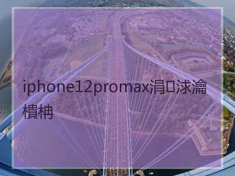 iphone12promax涓浗瀹樻柟