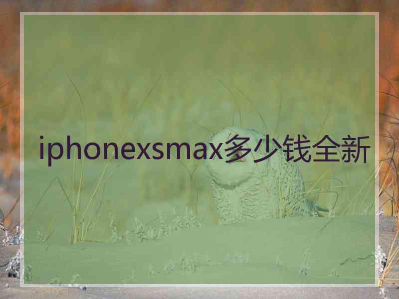 iphonexsmax多少钱全新