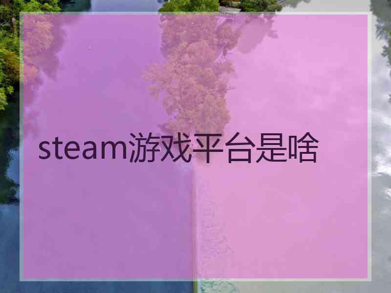 steam游戏平台是啥