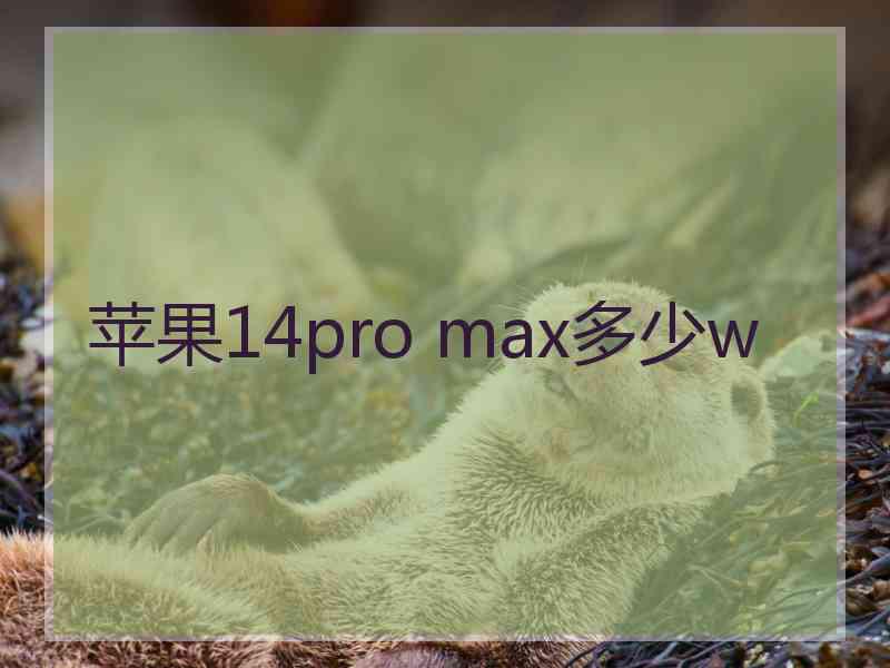 苹果14pro max多少w