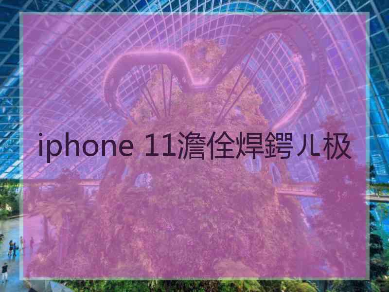 iphone 11澹佺焊鍔ㄦ极