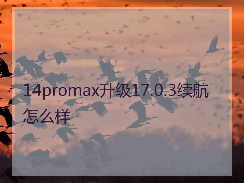 14promax升级17.0.3续航怎么样