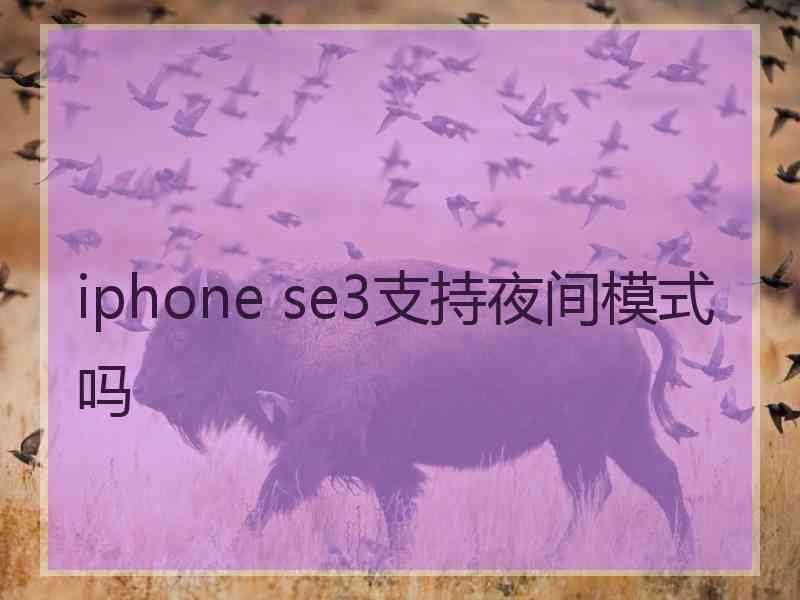 iphone se3支持夜间模式吗