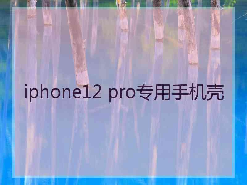 iphone12 pro专用手机壳