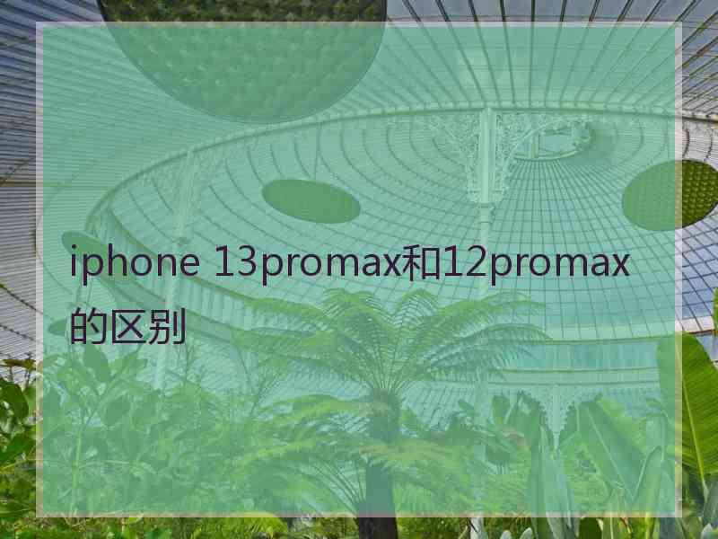 iphone 13promax和12promax的区别