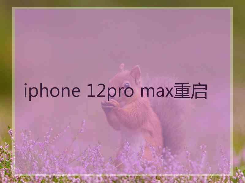 iphone 12pro max重启