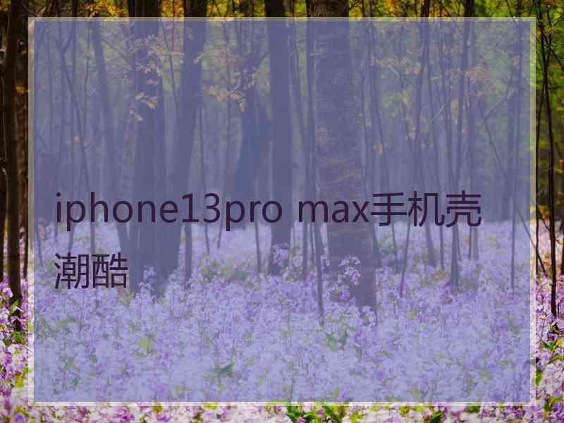 iphone13pro max手机壳潮酷