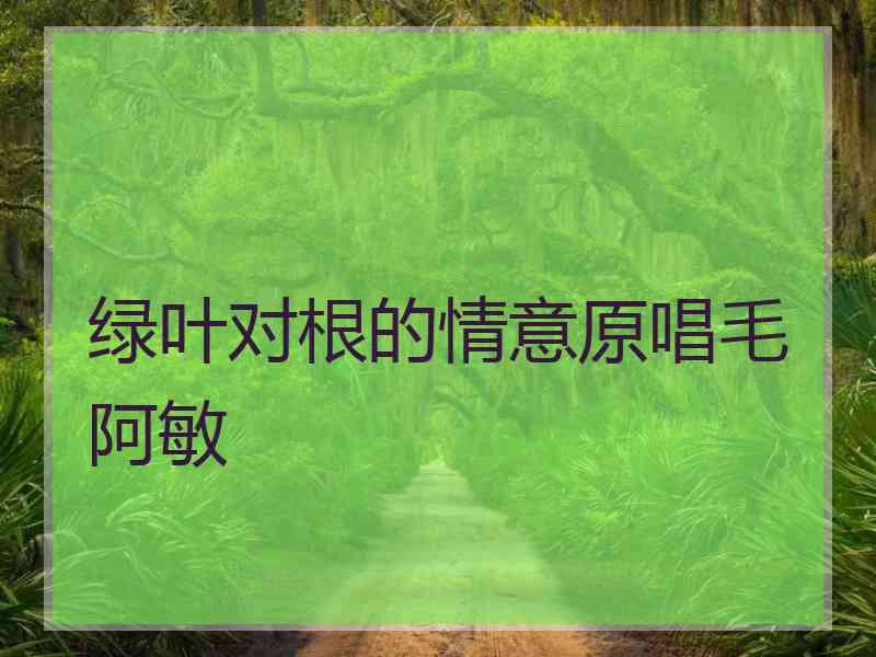 绿叶对根的情意原唱毛阿敏