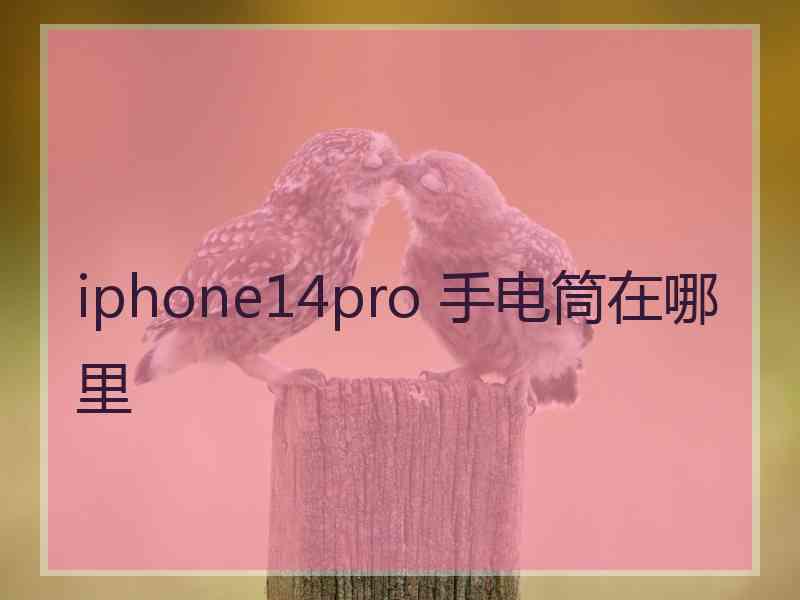 iphone14pro 手电筒在哪里