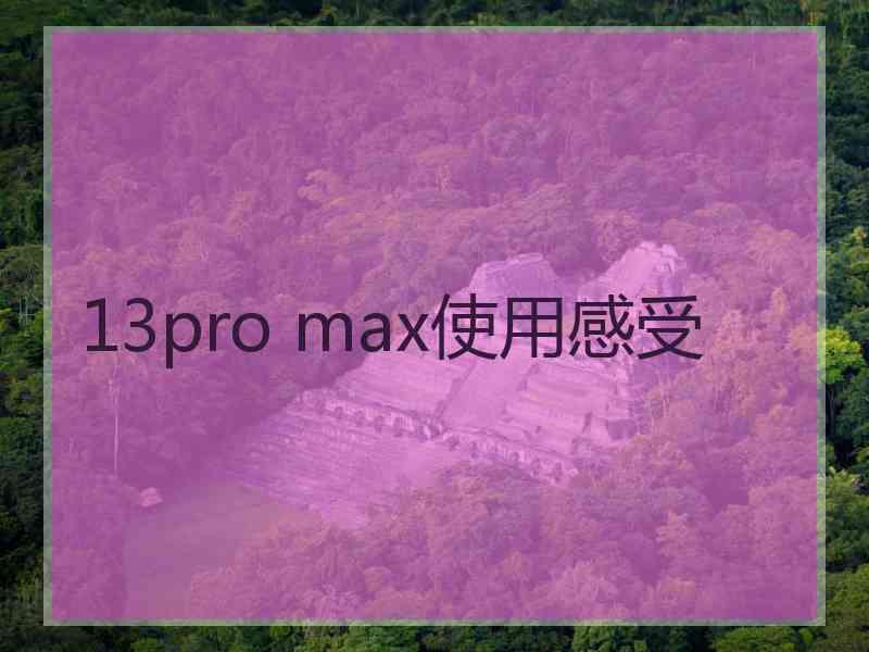 13pro max使用感受