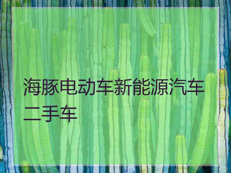 海豚电动车新能源汽车二手车