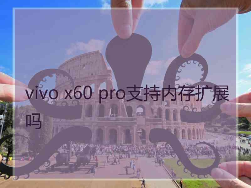 vivo x60 pro支持内存扩展吗