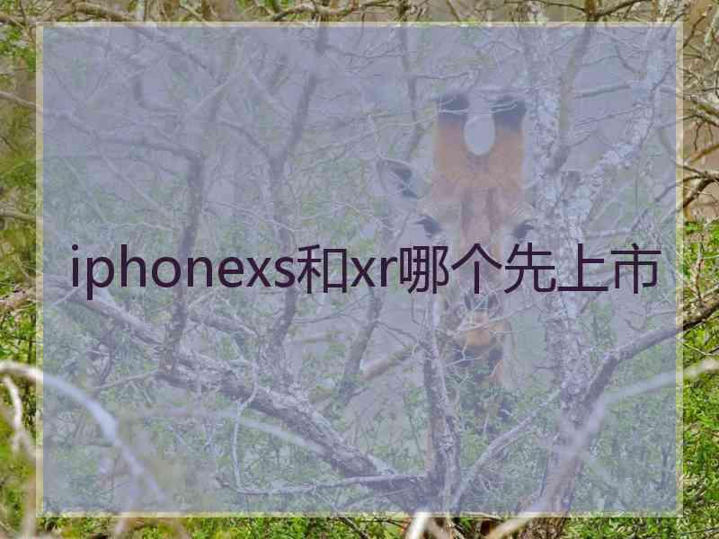 iphonexs和xr哪个先上市