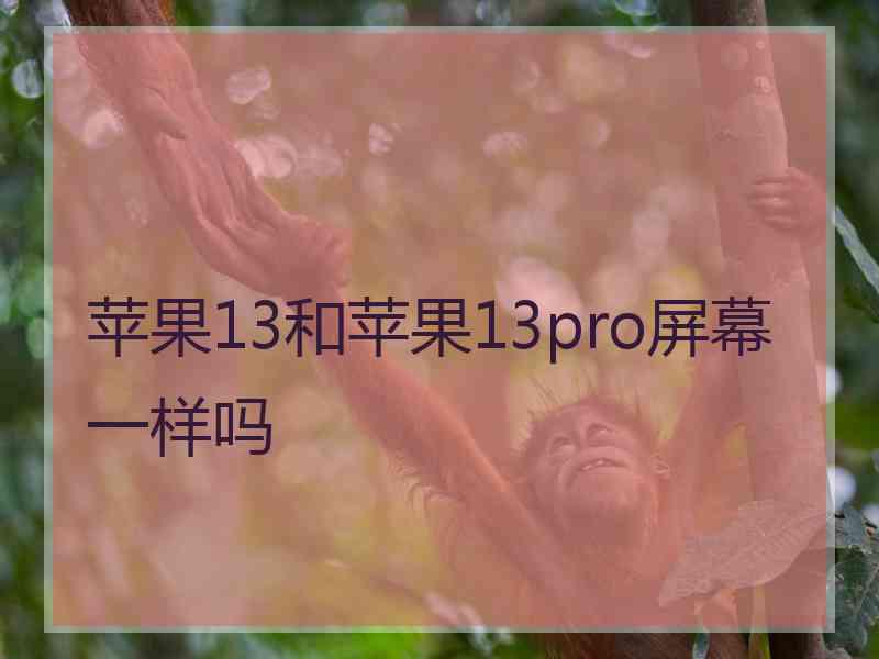 苹果13和苹果13pro屏幕一样吗