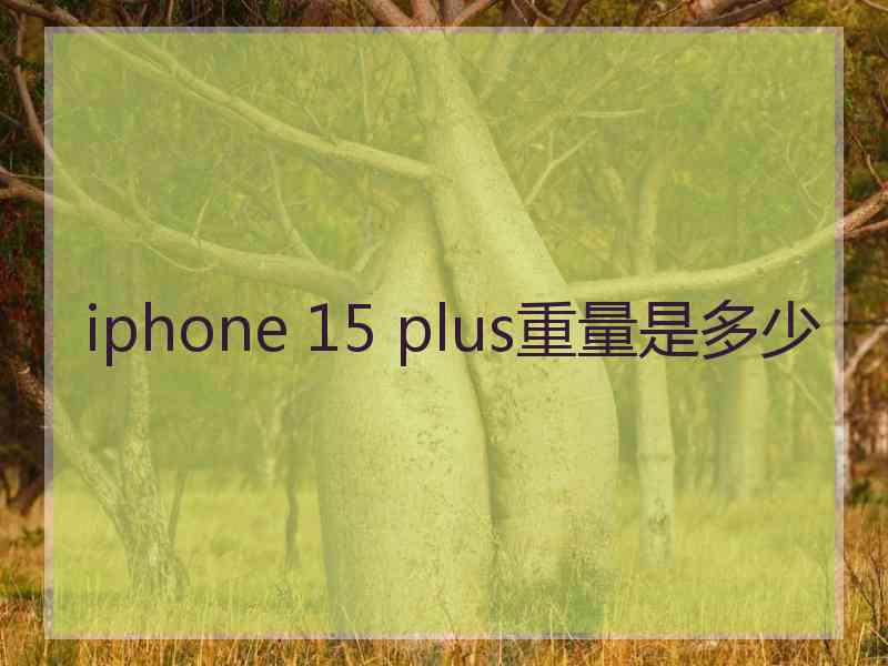 iphone 15 plus重量是多少