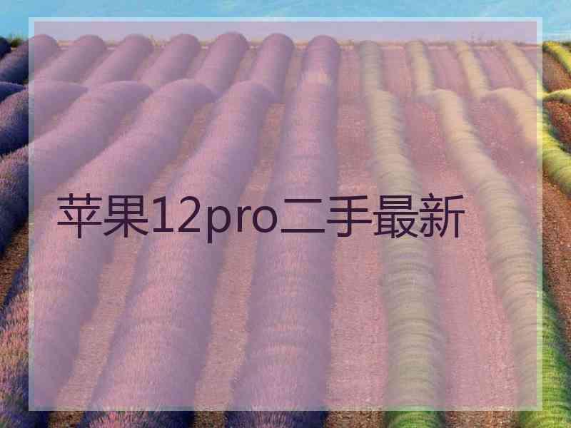 苹果12pro二手最新