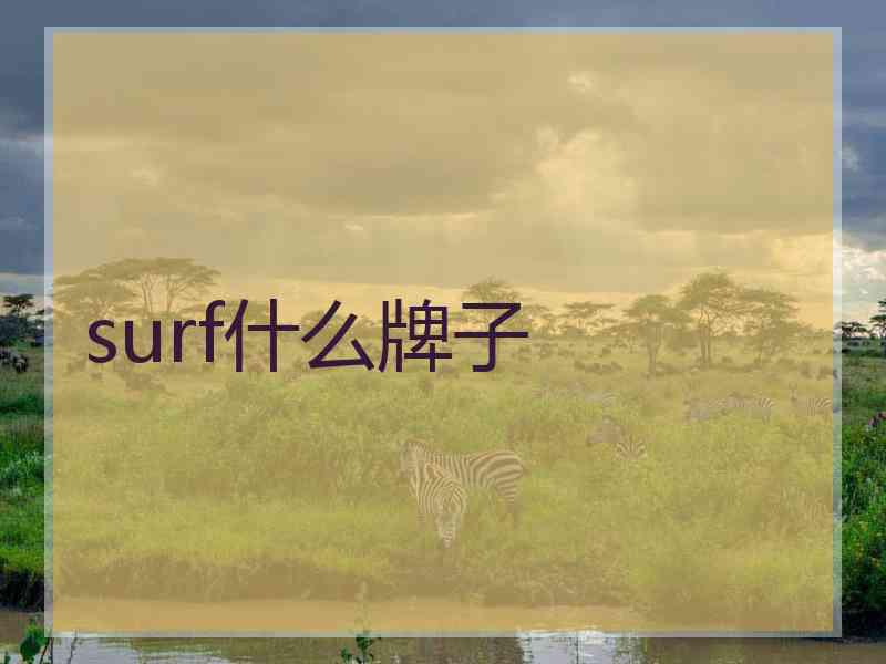 surf什么牌子