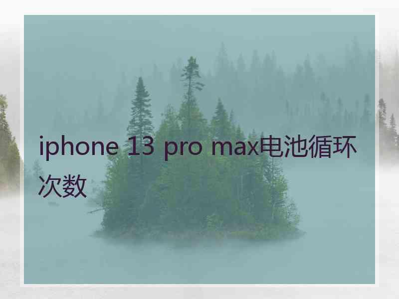 iphone 13 pro max电池循环次数