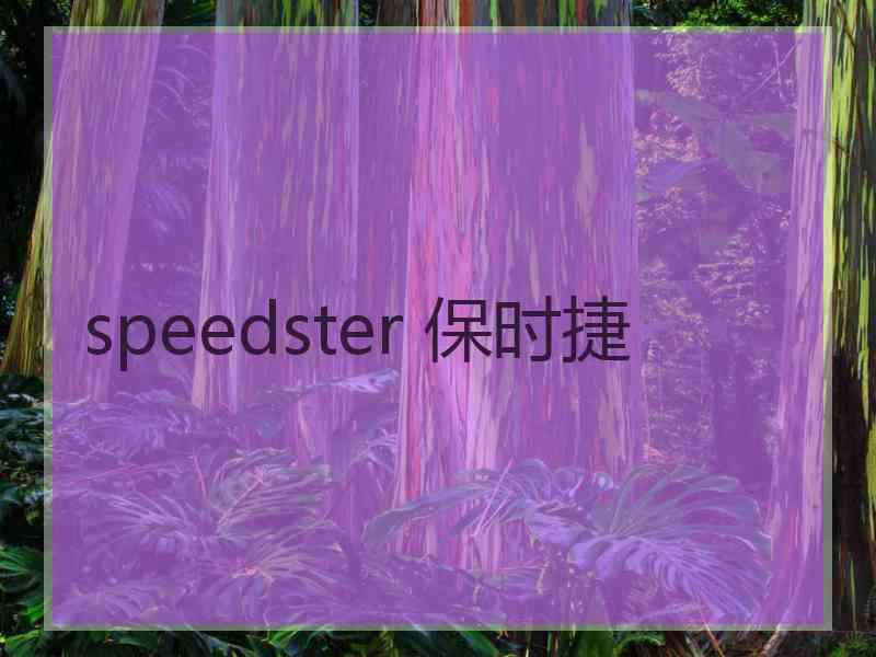 speedster 保时捷