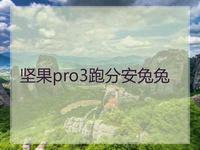 坚果pro3跑分安兔兔