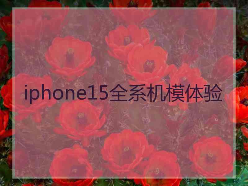 iphone15全系机模体验