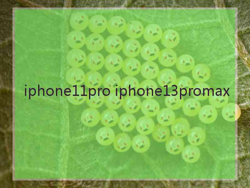 iphone11pro iphone13promax