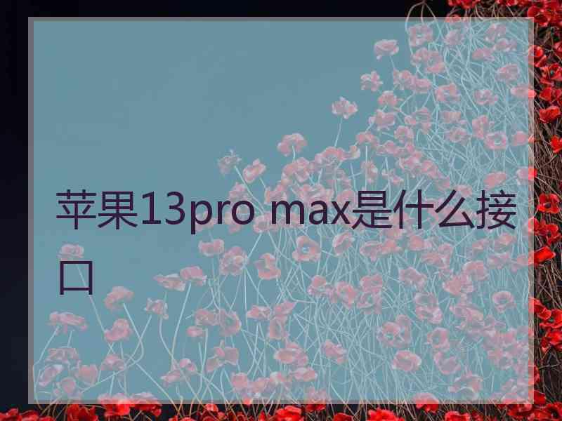 苹果13pro max是什么接口