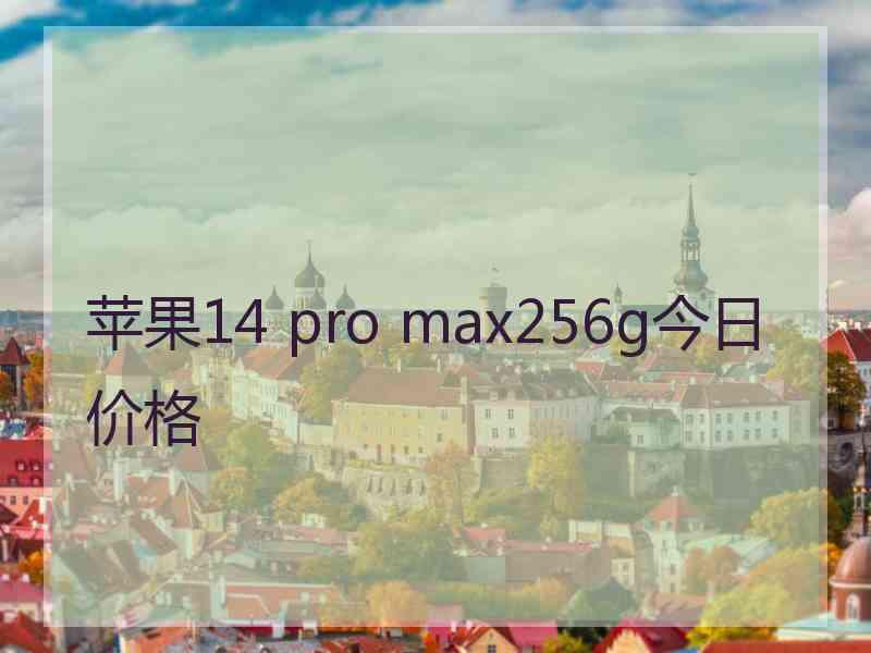 苹果14 pro max256g今日价格