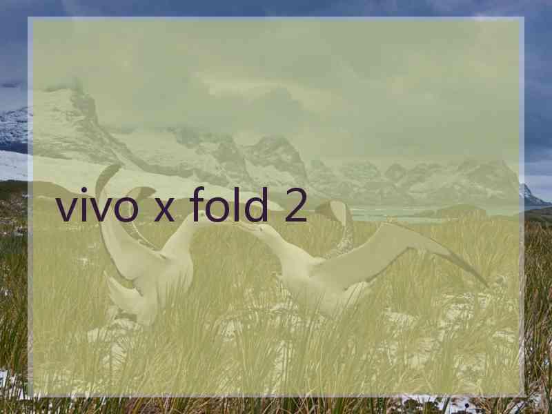 vivo x fold 2