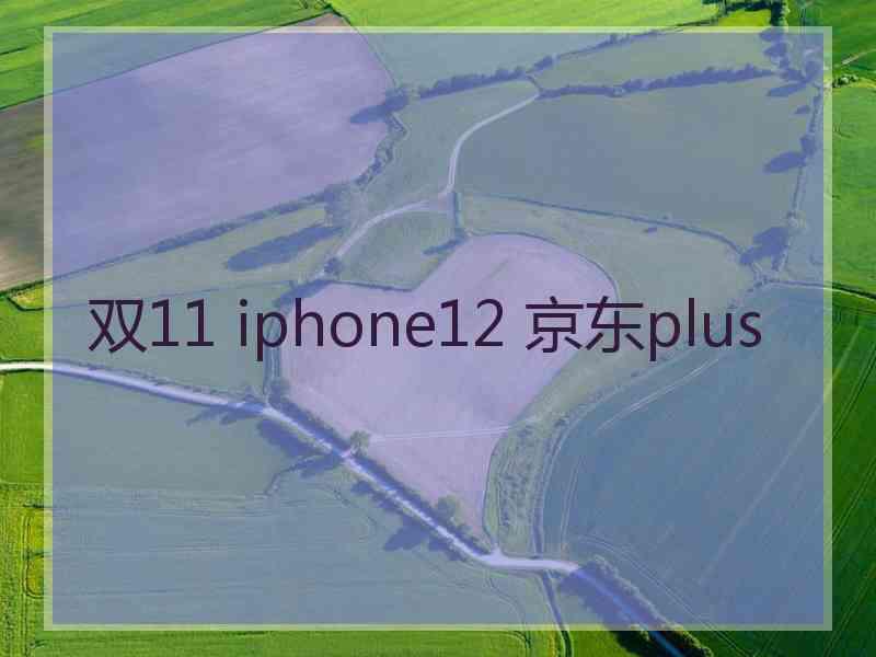 双11 iphone12 京东plus