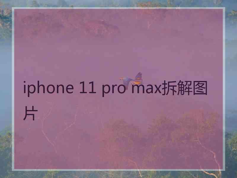 iphone 11 pro max拆解图片