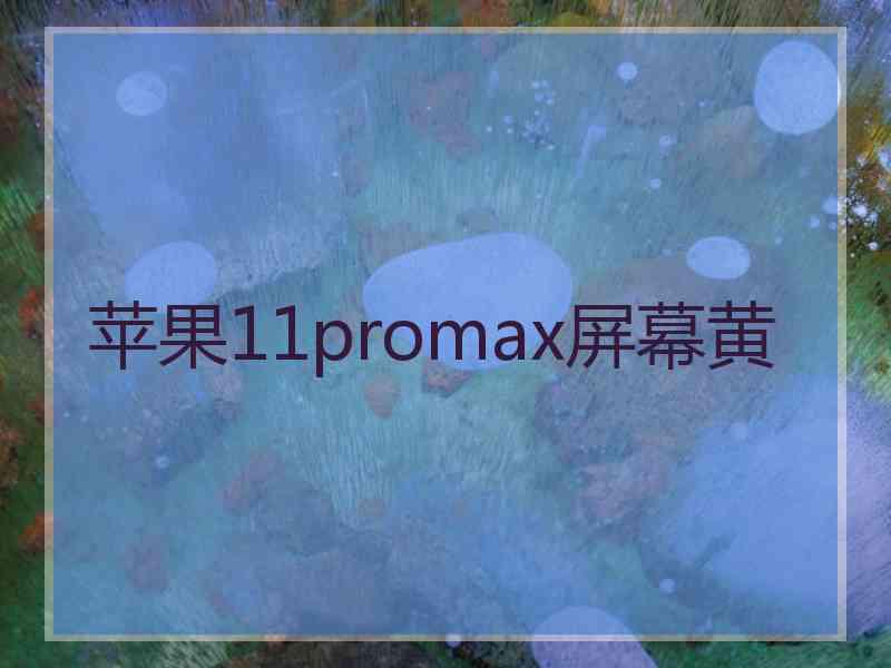 苹果11promax屏幕黄