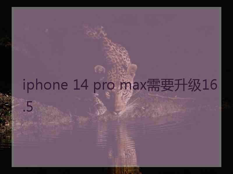 iphone 14 pro max需要升级16.5