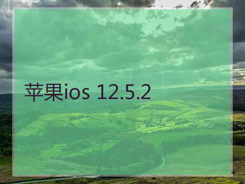 苹果ios 12.5.2