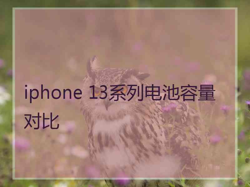 iphone 13系列电池容量对比