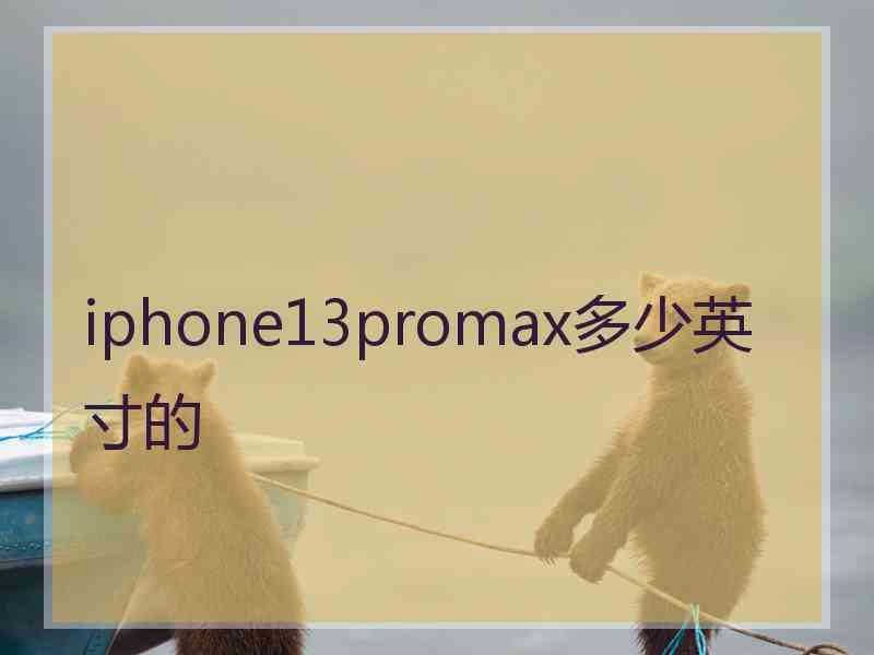 iphone13promax多少英寸的