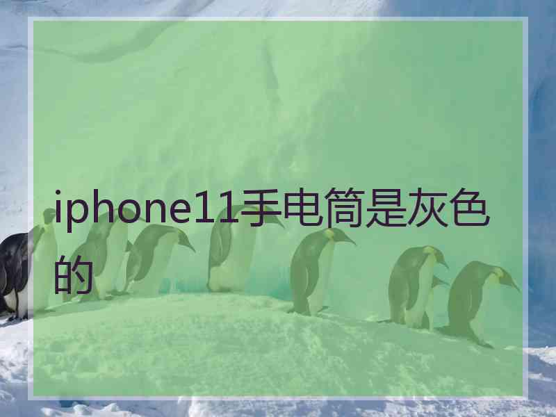 iphone11手电筒是灰色的