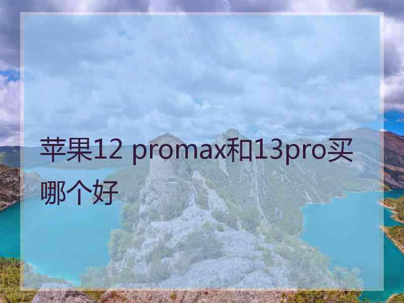 苹果12 promax和13pro买哪个好