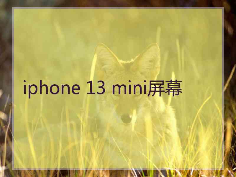 iphone 13 mini屏幕