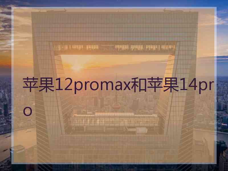 苹果12promax和苹果14pro